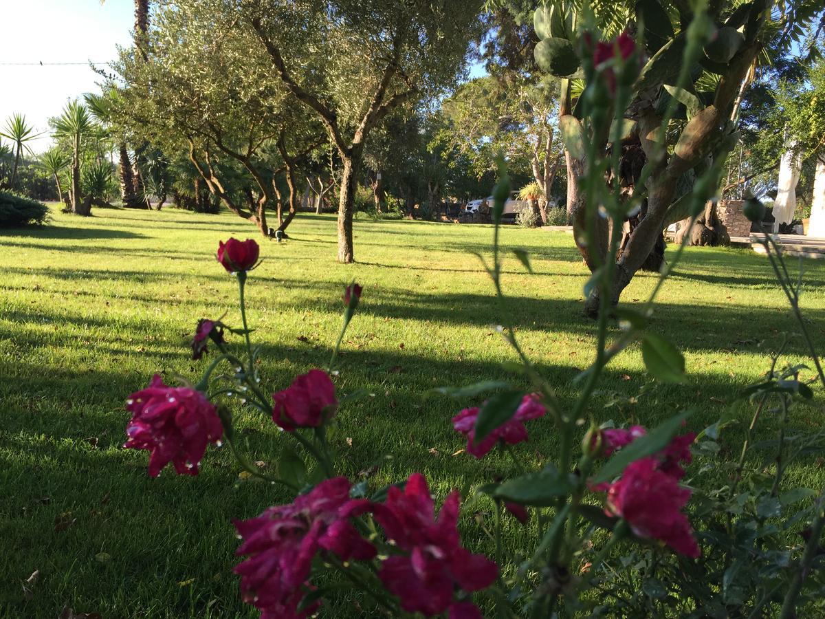 Dimora Del Duca, Masseria B&B Di Charme มอนเตโรนิดิเลชเช ภายนอก รูปภาพ
