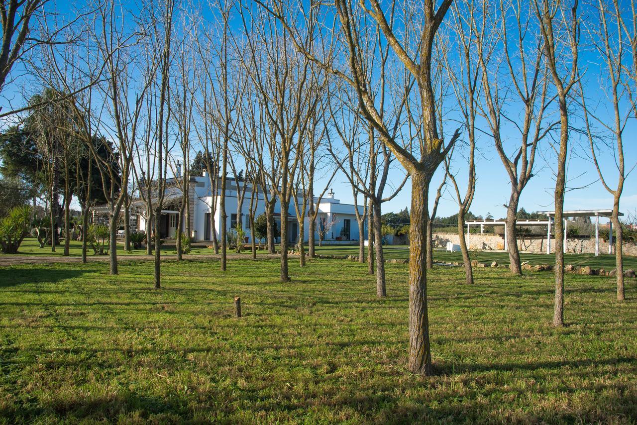 Dimora Del Duca, Masseria B&B Di Charme มอนเตโรนิดิเลชเช ภายนอก รูปภาพ